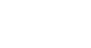 Cida Silva